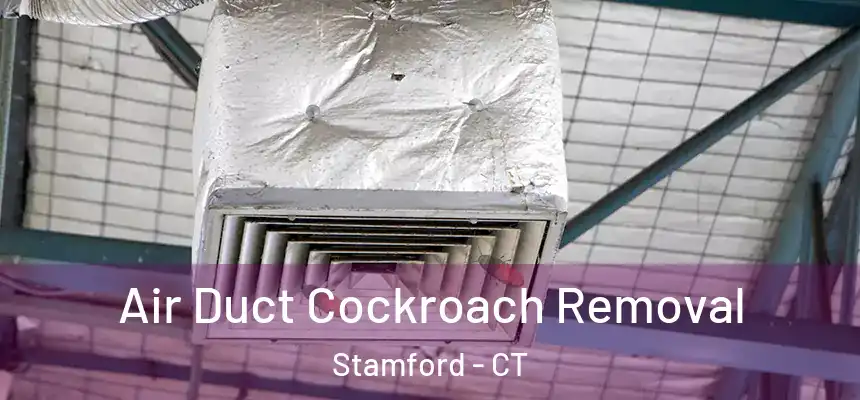 Air Duct Cockroach Removal Stamford - CT