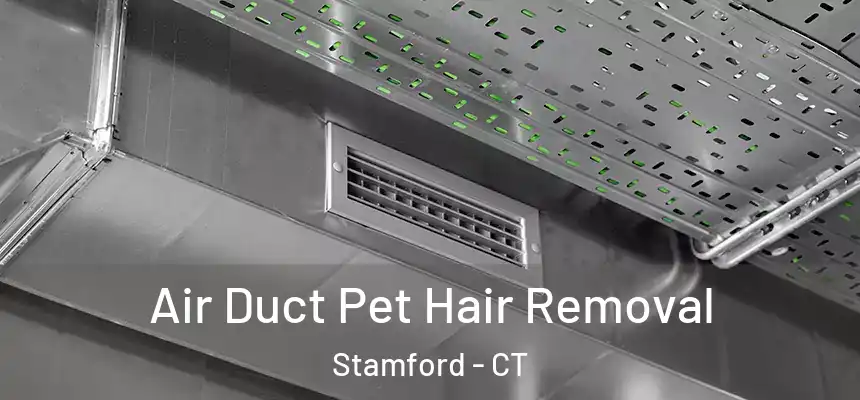 Air Duct Pet Hair Removal Stamford - CT