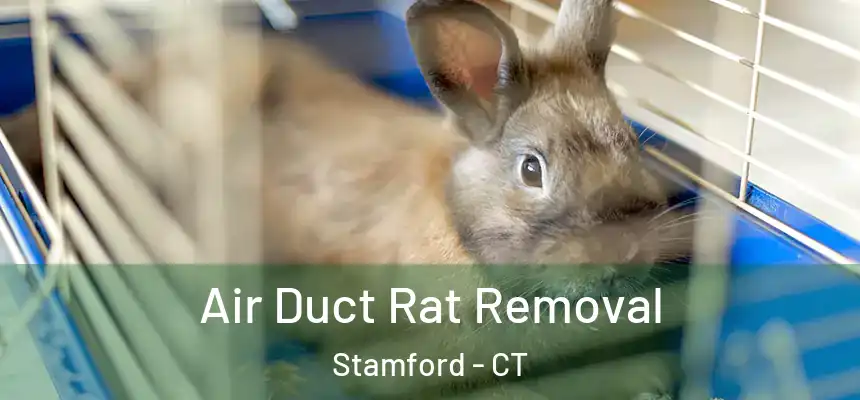 Air Duct Rat Removal Stamford - CT
