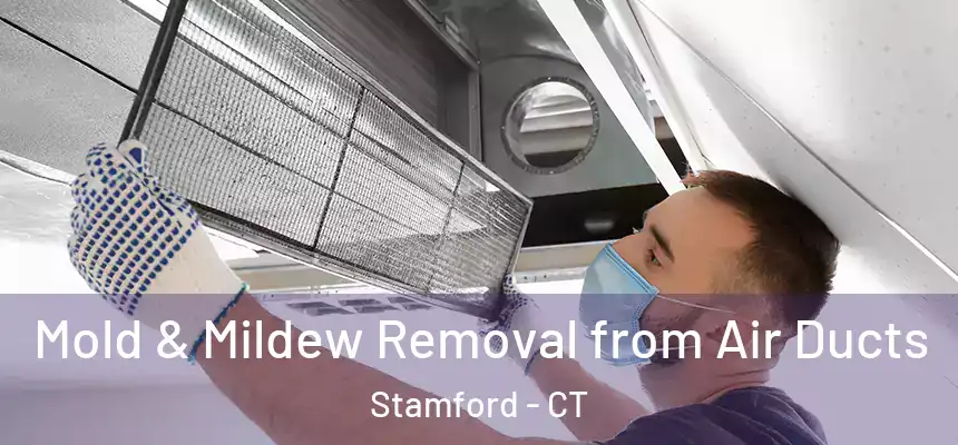 Mold & Mildew Removal from Air Ducts Stamford - CT