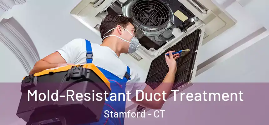  Mold-Resistant Duct Treatment Stamford - CT