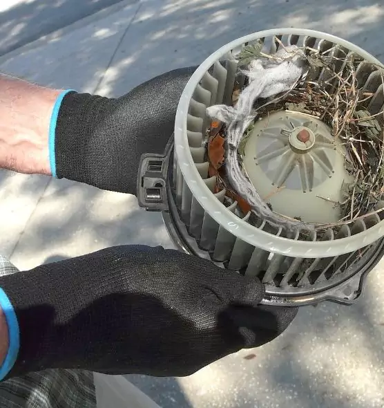 About Air Duct Mice Removal in Stamford, CT