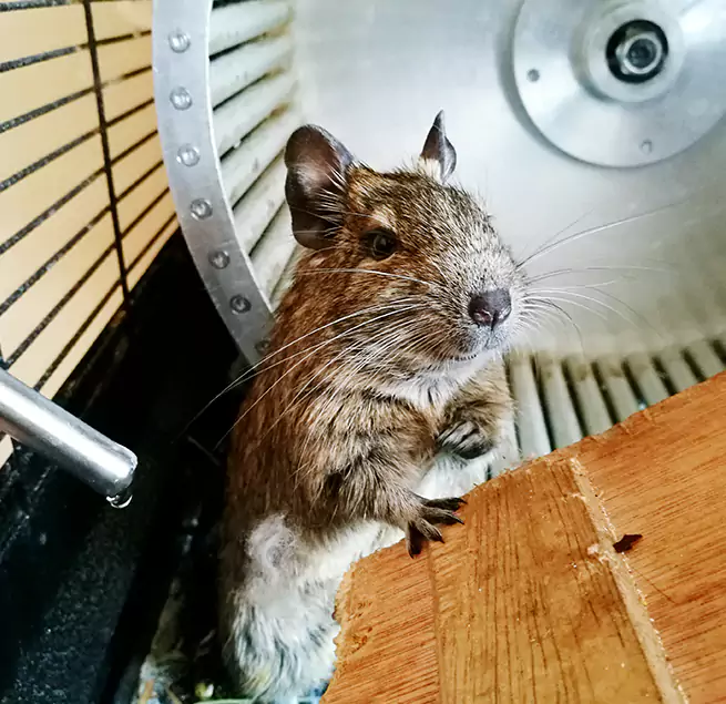 Why Homeowners & Businesses Trust Us Stamford, CT?